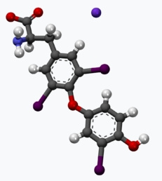 Buy real T3 liothyronine pills online